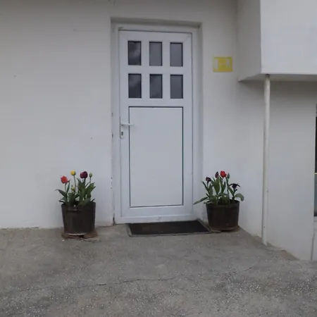 Elbarr ゲストハウス Rogachevo